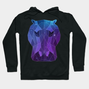 Galaxy Hippo Hoodie